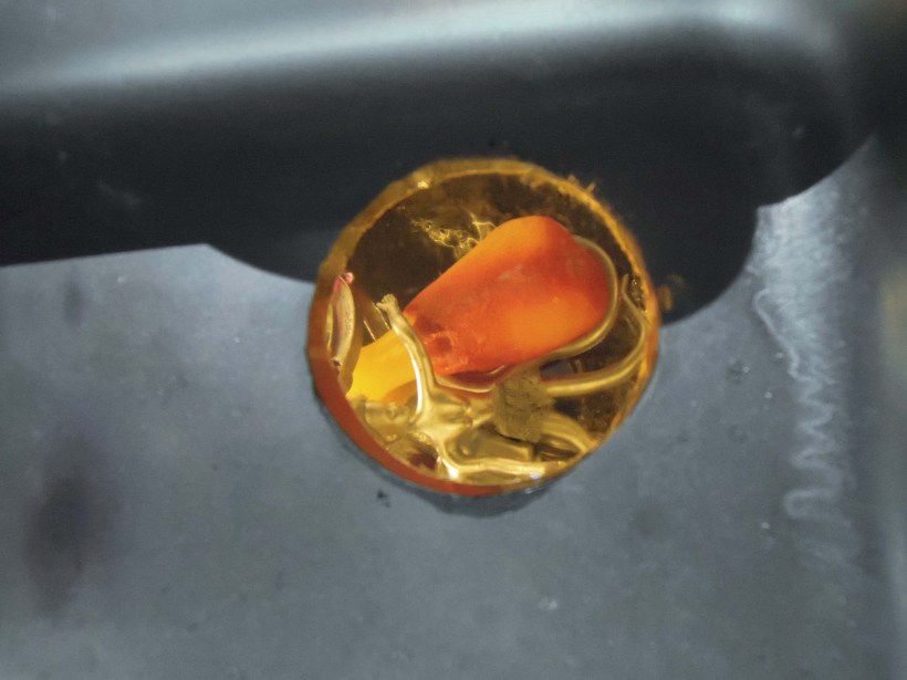 Her Moving Presence Opening 050216 P300  (74)