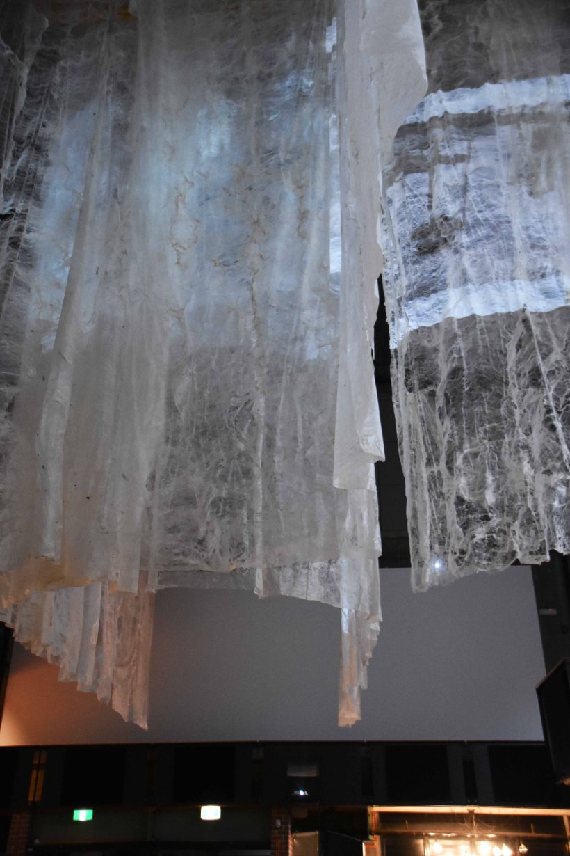 Blood on Silk Last Seen _5 web