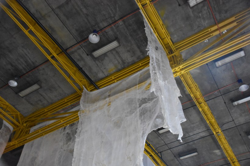 Blood on Silk Last Seen _3216 (67).JPG