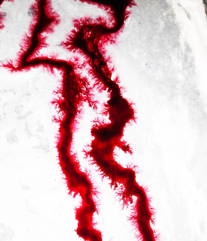 Blood on Silk: Bleeding Out Externally ( detail)